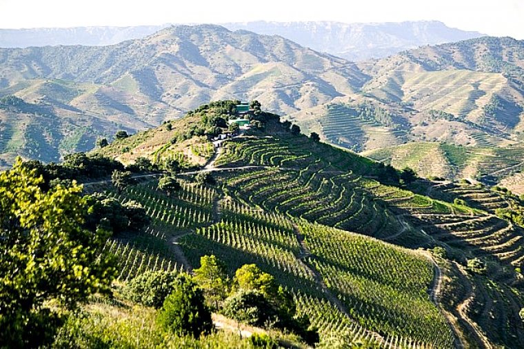 Představujeme vína - Priorat Španělsko